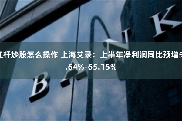 杠杆炒股怎么操作 上海艾录：上半年净利润同比预增51.64%-65.15%