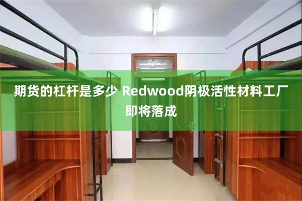 期货的杠杆是多少 Redwood阴极活性材料工厂即将落成