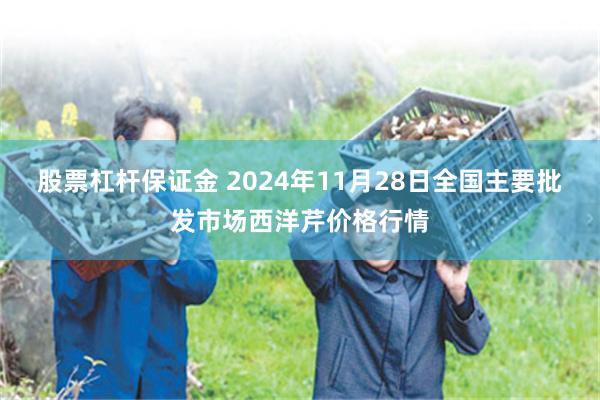 股票杠杆保证金 2024年11月28日全国主要批发市场西洋芹价格行情