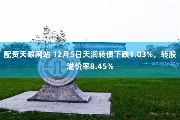 配资天眼网站 12月5日天润转债下跌1.03%，转股溢价率8.45%