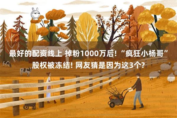 最好的配资线上 掉粉1000万后! “疯狂小杨哥”股权被冻结! 网友猜是因为这3个?