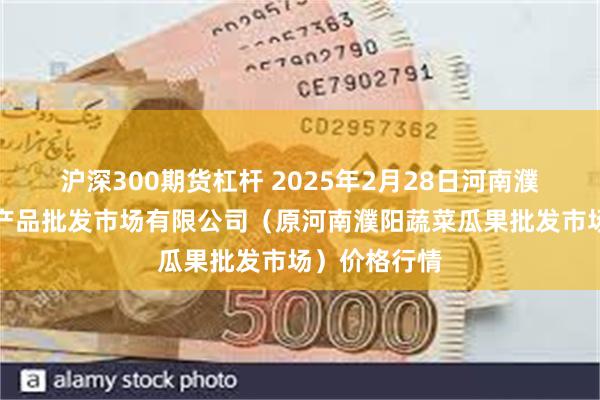 沪深300期货杠杆 2025年2月28日河南濮阳宏进农副产品批发市场有限公司（原河南濮阳蔬菜瓜果批发市场）价格行情