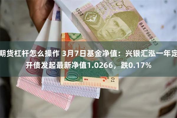 期货杠杆怎么操作 3月7日基金净值：兴银汇泓一年定开债发起最新净值1.0266，跌0.17%